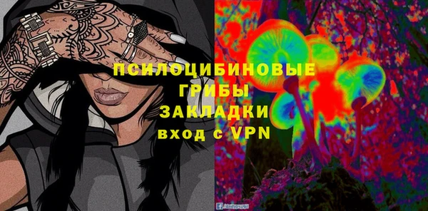 дживик Сосновка