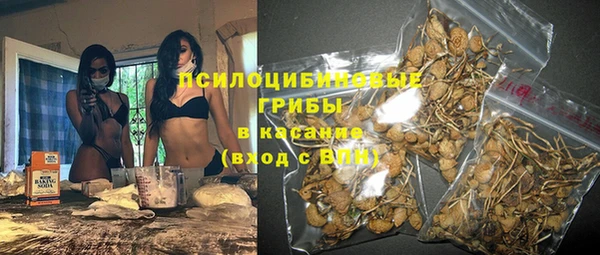 дживик Сосновка