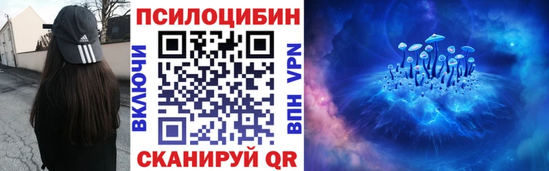 Псилоцибиновые грибы Psilocybine cubensis  Воронеж 